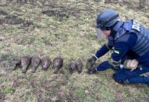 У Хмільницькому районі сапери знищили 12 боєприпасів часів Другої світової війни