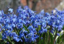 Прогноз погоди на 14 березня: історичні рекорди та народні прикмети