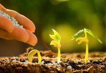 На Вінниччині розпочались весняно-польові роботи