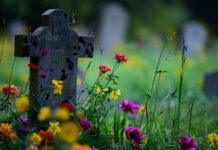 День віри та пам’яті: сьогодні православні святкують Провідну неділю