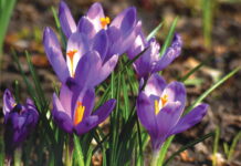 Прогноз погоди на 4 квітня у Вінниці Погода у Вінниці