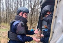 У Жмеринському районі знешкодили 11 артснарядів часів Другої світової війни