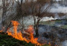 У Вінницькій області за добу сталося 12 пожеж, одна з них у житловому секторі
