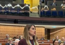 ПАРЄ визнала Росію головним агресором у сфері гібридного впливу