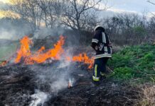 За добу на Вінниччині сталося вісім пожеж