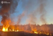 На Вінниччині за добу сталося 29 пожеж