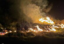 На Вінниччині за добу сталося понад три десятки пожеж