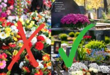 Екологи закликають відмовитися від штучних квітів на кладовищах