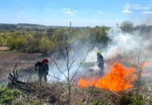 Понад 10 гектарів у вогні: рятувальники Вінниччини ліквідували 27 пожеж за добу