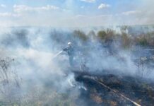 Полум’я атакує: за день на Вінниччині — десятки пожеж і два згорілих авто