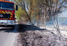 Вогнеборці ліквідували 27 пожеж на Вінниччині за добу