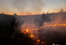 На Вінниччині за добу ліквідовано 33 пожежі
