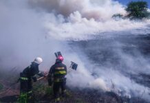 Рятувальники Вінниччини ліквідували 26 пожеж за добу