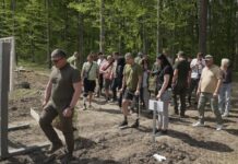 Ветерани та лісівники висадили понад 6500 дерев на Вінниччині