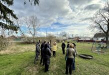 Мешканці Стрижавки взялися за відновлення занедбаної криниці