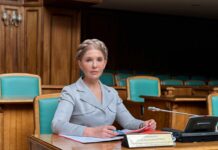 «Батьківщина» закликає зняти з розгляду законопроєкт про ринок деревини через ризики для малого бізнесу