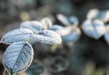 У Вінниці 10 квітня очікується похмура та волога погода зі снігом і дощем