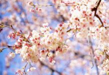 Прогноз погоди у Вінниці на понеділок