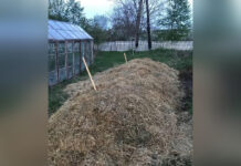 У Ситковецькому ліцеї стартував проєкт з переробки шкільних відходів за допомогою верміферми