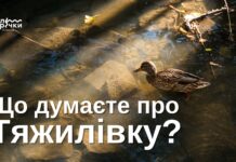 Вінничан запрошують взяти участь в опитуванні про річку Тяжилівку