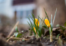 Погода у Вінниці на 29 квітня