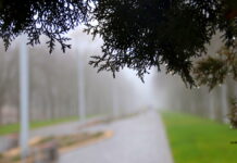 У Вінниці 14 травня буде похмуро, але без дощу