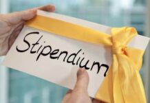 Троє школярок з Вінниччини отримають президентські стипендії за перемогу в мовному конкурсі