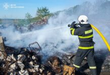 На Вінниччині вогонь охопив понад 3 гектари відкритих територій