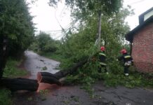 У Вінниці рятувальники прибирали повалені дерева після негоди
