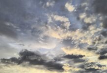 У Вінниці 20 травня прогнозують дощовий день із помірним вітром