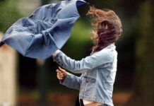 Увага, штормове попередження: у Вінниці та області очікується сильний вітер у Вінниці та на території області прогнозується значне посилення вітру