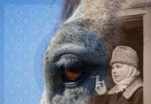 У Вінниці презентували новий культурний проєкт Makovei