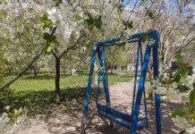 Погода у Вінниці на 2 травня: без опадів, але хмарно з другої половини дня