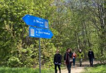 У Вінниці проведуть екскурсійну експедицію річкою Дьогтянець: новий погляд на міську природу