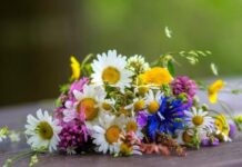 У понеділок Вінницю чекає сонячна погода без дощу