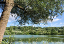 Якою буде погода у Вінниці 22 червня