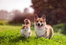 Астропрогноз на тиждень: розкриваємо таємниці 9–15 червня