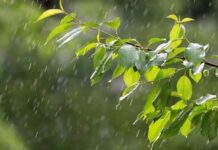 Прогноз погоди у Вінниці на 3 червня