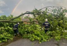 Рятувальники Вінниччини 8 разів виїжджали на ліквідацію наслідків негоди