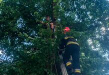 У Вінниці 7-річний хлопчик заліз на черешню й застряг на висоті 6 м