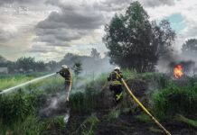 На Вінниччині за добу ліквідували 14 пожеж