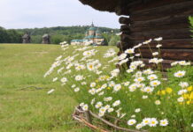 У Вінниці сьогодні ясно і без опадів
