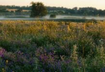 Погода у Вінниці 8 серпня: сонячно та без опадів