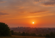 Погода у Вінниці на 23 червня: день без опадів і теплі температури