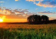 Погода у Вінниці на 29 червня: хмарно, але без дощу