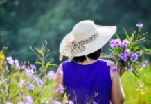 3 липня у Вінниці: сонячно та спекотно, без опадів