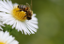 У Вінниці 26 липня: дощова ніч і теплий літній день без опадів