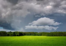 Прогноз погоди у Вінниці на четвер