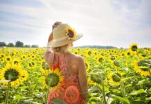 Ясно і без опадів: погода у Вінниці на 2 липня