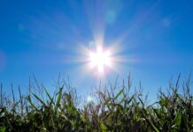 Погода у Вінниці 8 липня: ясний день і похмурий вечір без опадів